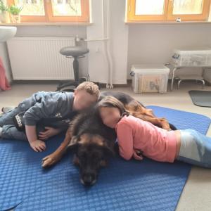 Schulhunde