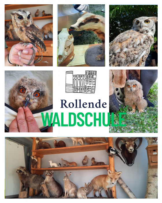 rollende_waldschule.jpg